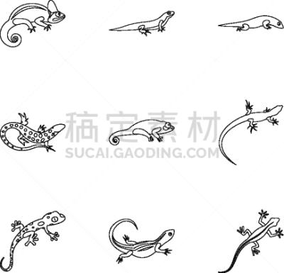轮廓,鬣蜥蜴,符号,分离着色,白色,数字9,斑点,图像,布置,收集