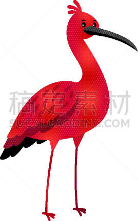 鸟类,红色,朱鹭,卡通,图标,可爱的,环境,野生动物,自然美