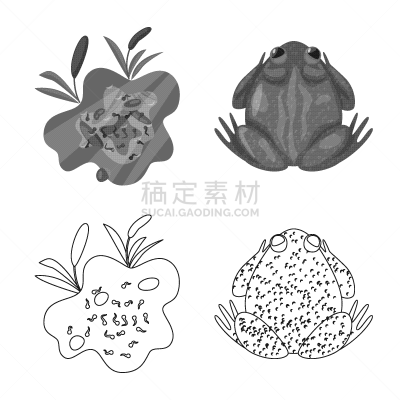 野生动物,分离着色,藓沼,图标集,一个物体,生物学,有毒物质,灰色,环境,青蛙