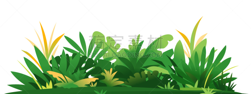 植物群,热带雨林,陆地,华丽的,活力,草坪,野生动物,环境,模板,构图