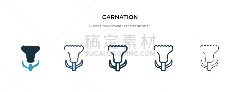 carnation icon in different style two colored
