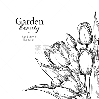 郁金香,叶子,国境线,华丽的,请柬,复活节,婚礼,花,画画,问候