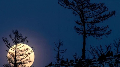 夜幕降临，大圆明月从山顶升起，升入天空。