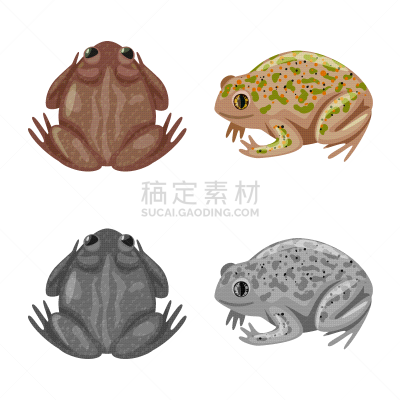 野生动物,分离着色,藓沼,品牌名称,一个物体,生物学,有毒物质,灰色,青蛙,动物