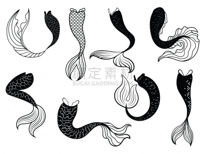 尾巴,美人鱼,摆拍,清新,海星,动物,童话故事,收集,布置,剪影