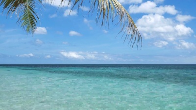 热带海景