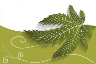 植物,叶子,背景,商务,暴力,健康保健,药,替代医药,花盆,肖像