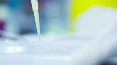 科学家和生物实验室实验