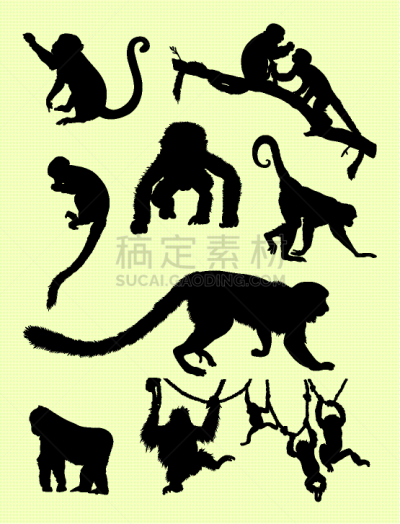猴子,动物,可爱的,春节,灵长目,猿,脊椎动物,哺乳纲,剪影,伸手