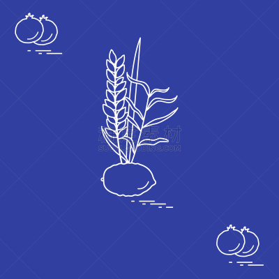 传统,石榴,节日,符号,犹太教,事件,番樱桃,植物,水果