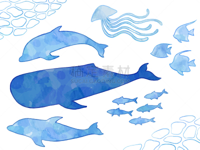 海洋生命,绘画插图,寒冷,线条,平和,水彩画颜料,清新,边框,抹香鲸,水面