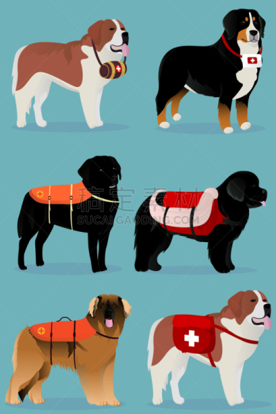 狗,分离着色,宠物,自然,纯种犬,纽芬兰,哺乳纲,动物,矢量,Leonberger