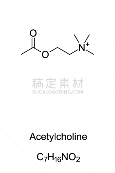 分子,乙酰胆碱,公式,人类骨架,化学元素周期表,健康保健,化学,几何形状,背景分离,药