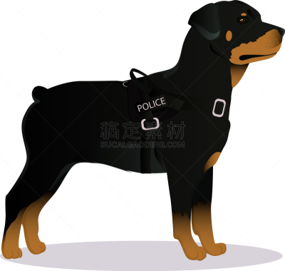 罗威纳犬,警犬,宠物,纯种犬,图像,狗,哺乳纲,动物,设备用品