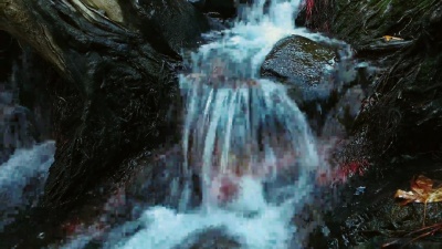 公园里冷泉水流淌。狂野的河流流淌。自然资源观