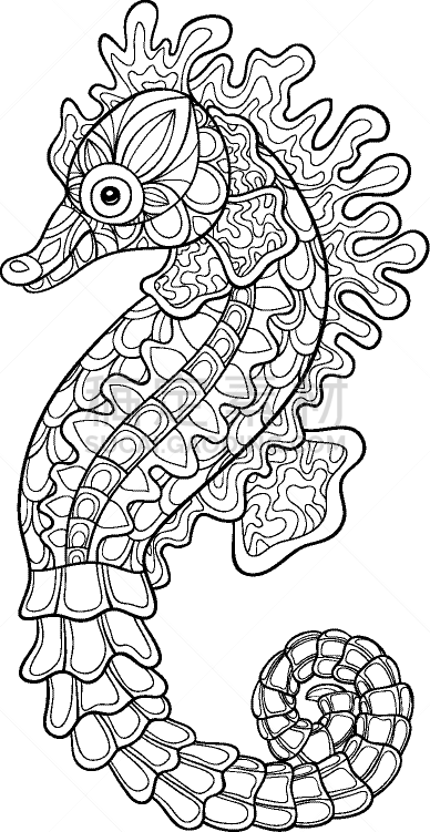 可爱的,海马,成年的,图像,动物,洋葱花,乱画,着色,花