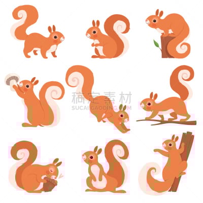 卡通,乐趣,松鼠,矢量,森林,野外动物,慢跑,站,收集,跳