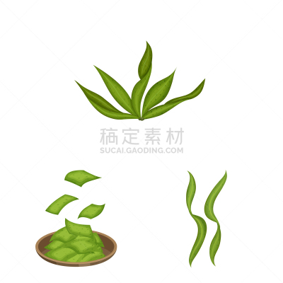 螺旋菌,海草,图标集,蔬菜,素食,食品,营养品,维生素,成分,设计