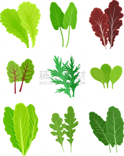 蔬菜,沙拉,反差,明亮,绿色,概念,清新,农业,健康食物,瘦身