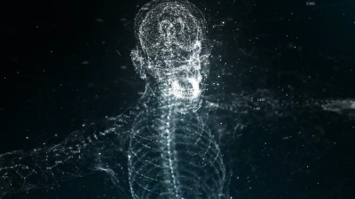 人体