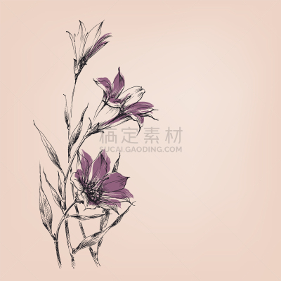 花束,百合花,可爱的,华丽的,壁纸,植物群,花,问候,排列,插花