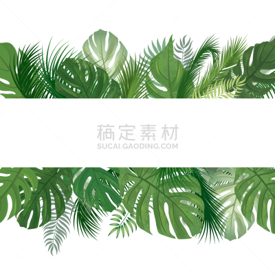叶子,鸡尾酒,花纹,棕榈树,白色,式样,华丽的,高雅,自然,生长