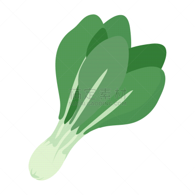 九月,蔬菜,十月,白色背景,菠菜,季节,四季,秋天,垂直画幅,食品