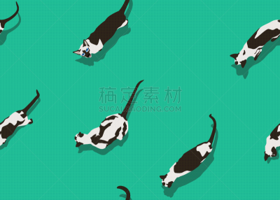 暹罗猫,式样,绿色,左撇子,华丽的,壁纸,自然美,动物,思考,坐