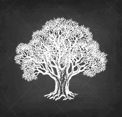 叶子,橡树,草图,白垩,白色,自然,季节,古老的,秋天,黑板