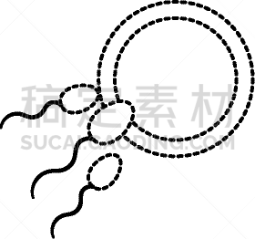 卵子,形状,斑点,卵巢,人,生物学,健康保健,遗传研究,图像