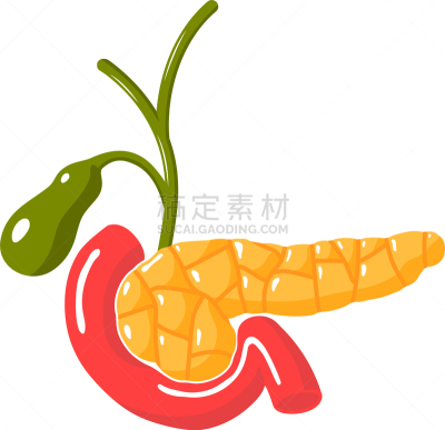 医疗图,胰腺,分离着色,白色,信息图表,健康保健,人,分泌细胞,数据