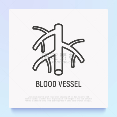 血管,细的,矢量,绘画插图,极简构图,线图标,健康保健,红色,符号