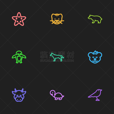 数字9,动物园,符号,可爱的,自然,热带雨林,图像,彪马