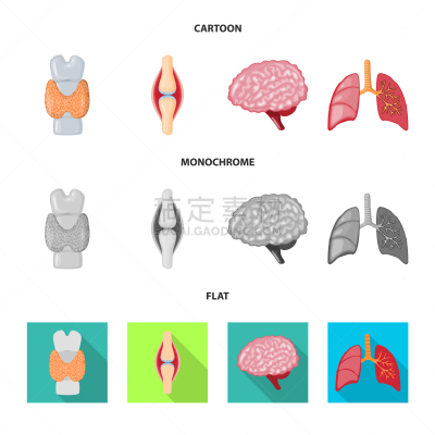 生物学,数学符号,韧带,软骨,脑回,肌腱,人,背的，脊的,身体受伤,设计