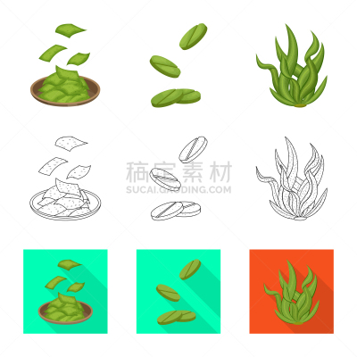 海洋,图标集,蛋白质,蔬菜,素食,健康保健,食品,营养品,维生素,成分