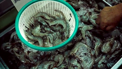 在鲜活市场挑选篮子里的虾。