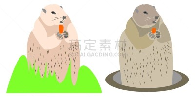 洞,草,胡萝卜,绘画插图,卡通,旱獭,多样,两只动物,站,显现