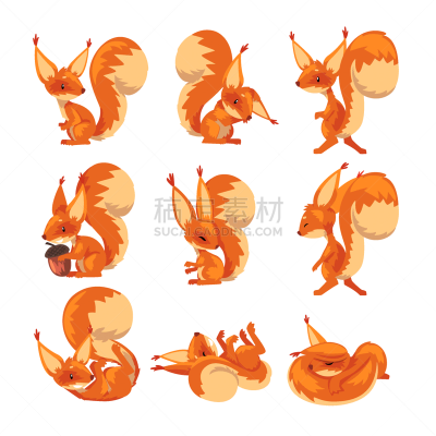 可爱的,小的,动物,啮齿目,绘画插图,松鼠,矢量,幽默,动画片,多样