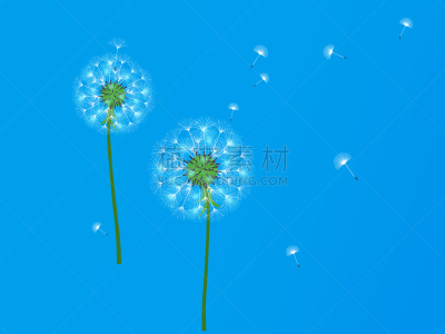 抽象,背景,分离着色,白色,过敏反应,清新,图像,设计,吹,装饰