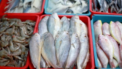 印度市场销售的鱼蟹品种