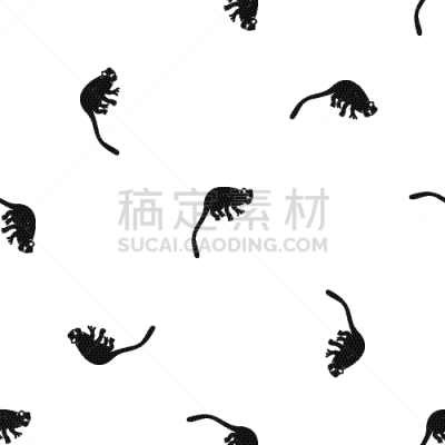 猴子,狨猴,式样,黑色,可爱的,几何形状,野生动物,灵长目,猿,坐