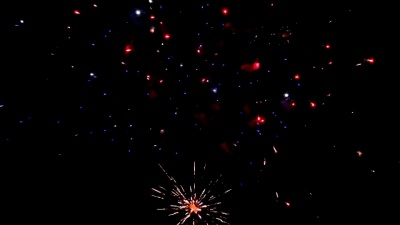 庆祝活动中，在漆黑的夜空中绽放出五颜六色的烟花