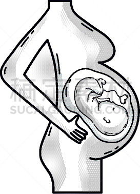 婴儿,里面,成一排,灯芯绒,卵子,卵巢,脐带,人,女人,生物学