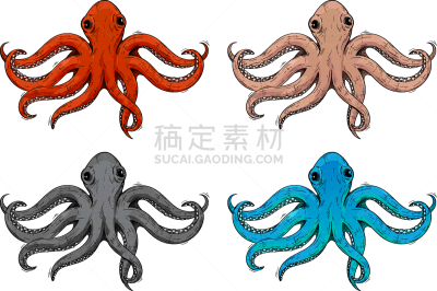 草图,动物手,章鱼,水下,白色,红色,灰色,蓝色,式样,绘制
