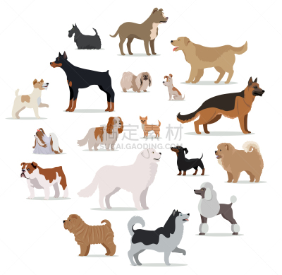分离着色,白色,纯种犬,狗,卡通,宠物,自然,白色背景,飞盘,布置