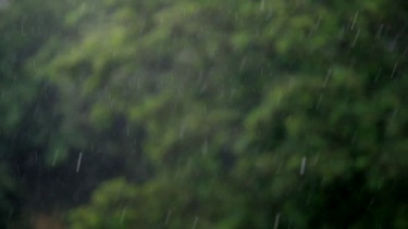 夏季大雨