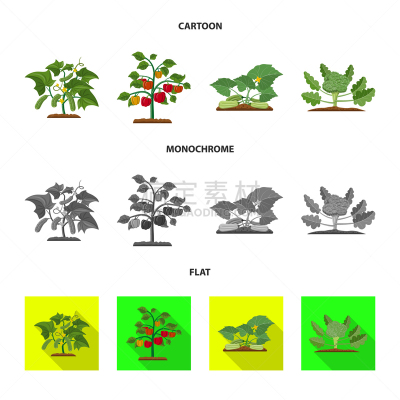 植物,分离着色,温室,图标,一个物体,农业,蔬菜,胡瓜,清新,食品