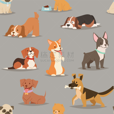 狗,可爱的,性格,小狗,纯种犬,牧羊人,非凡的,宠物,图像,收集