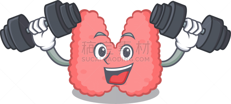甲状腺,性格,卡通,运动,时尚,甲状腺机能减退,生物学,可爱的,健康保健