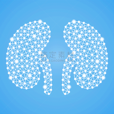 分离着色,绿色背景,人类肾脏,白色,生物学,健康保健,人,矢量,肾脏,生病